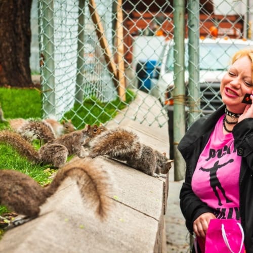 Woman feeding squirrels in Union Square Park, New York City NY027