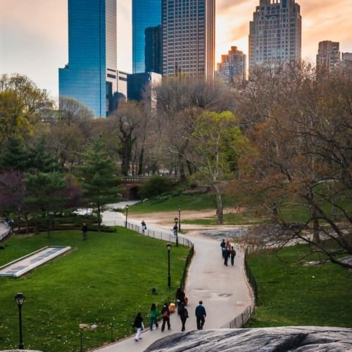 Spring sunset in Central Park, New York City. NY023