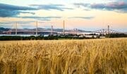 Dusk view of the Forth Bridges from near Newton, West Lothian, Scotland. FB001