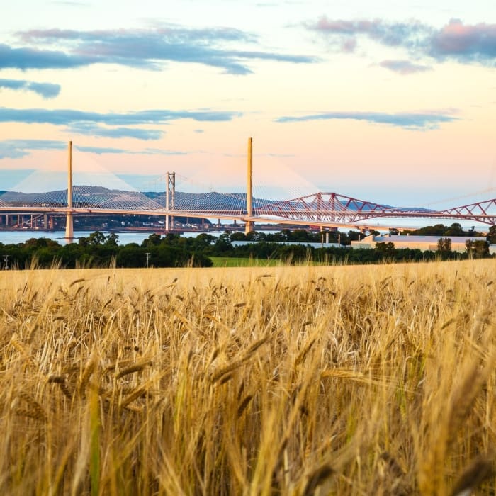 Dusk view of the Forth Bridges from near Newton, West Lothian, Scotland. FB001