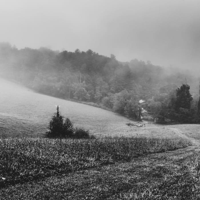 Grounds of Penland School of Crafts, North Carolina, USA. CM001