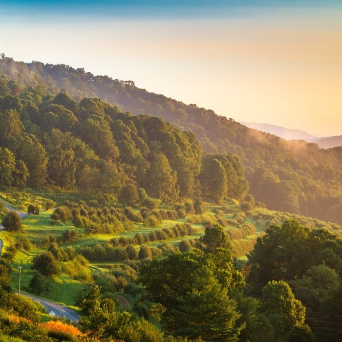 The terraces of The Orchard at Altapass on the Blue Ridge Parkway, North Carolina, USA. NC007