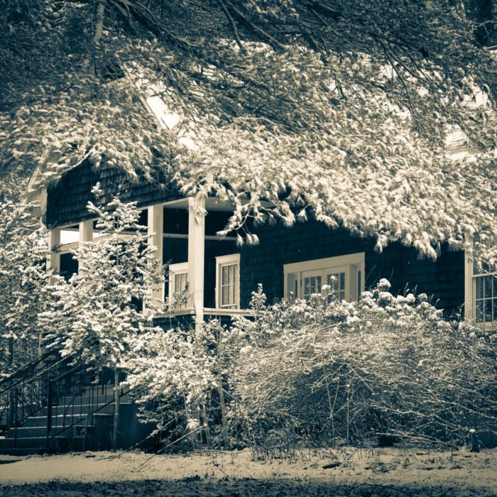 Duotone of house and snow-laden tree at Penland, North Carolina, USA. CM013