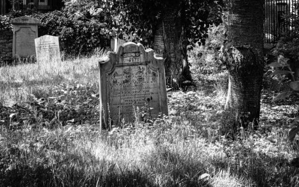 Monochrome image of gravestone in overgrown churchyard, Dundee, Scotland SM060