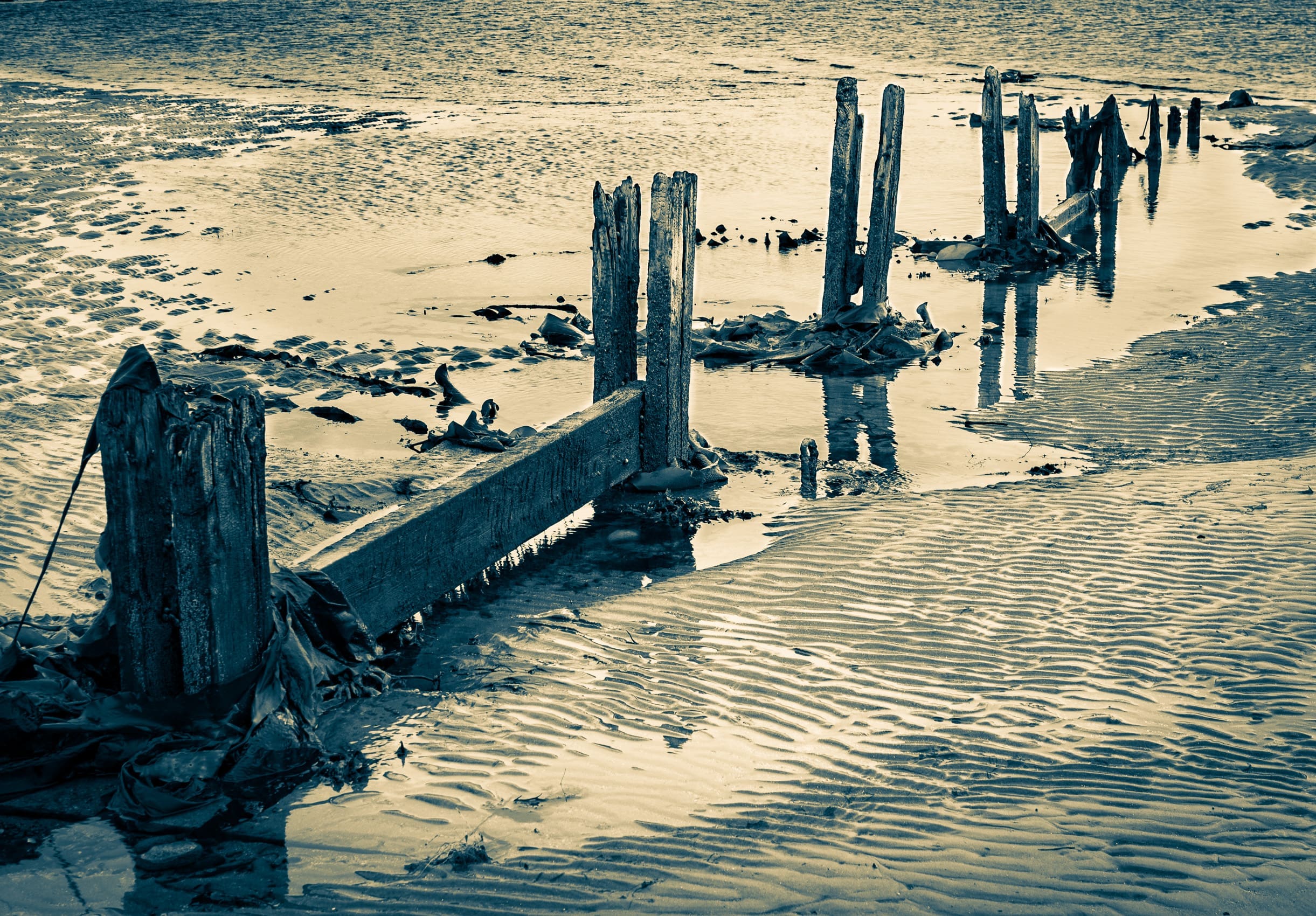 Duotone image of rotted groyne, Broughty Ferry beach, Dundee, Scotland