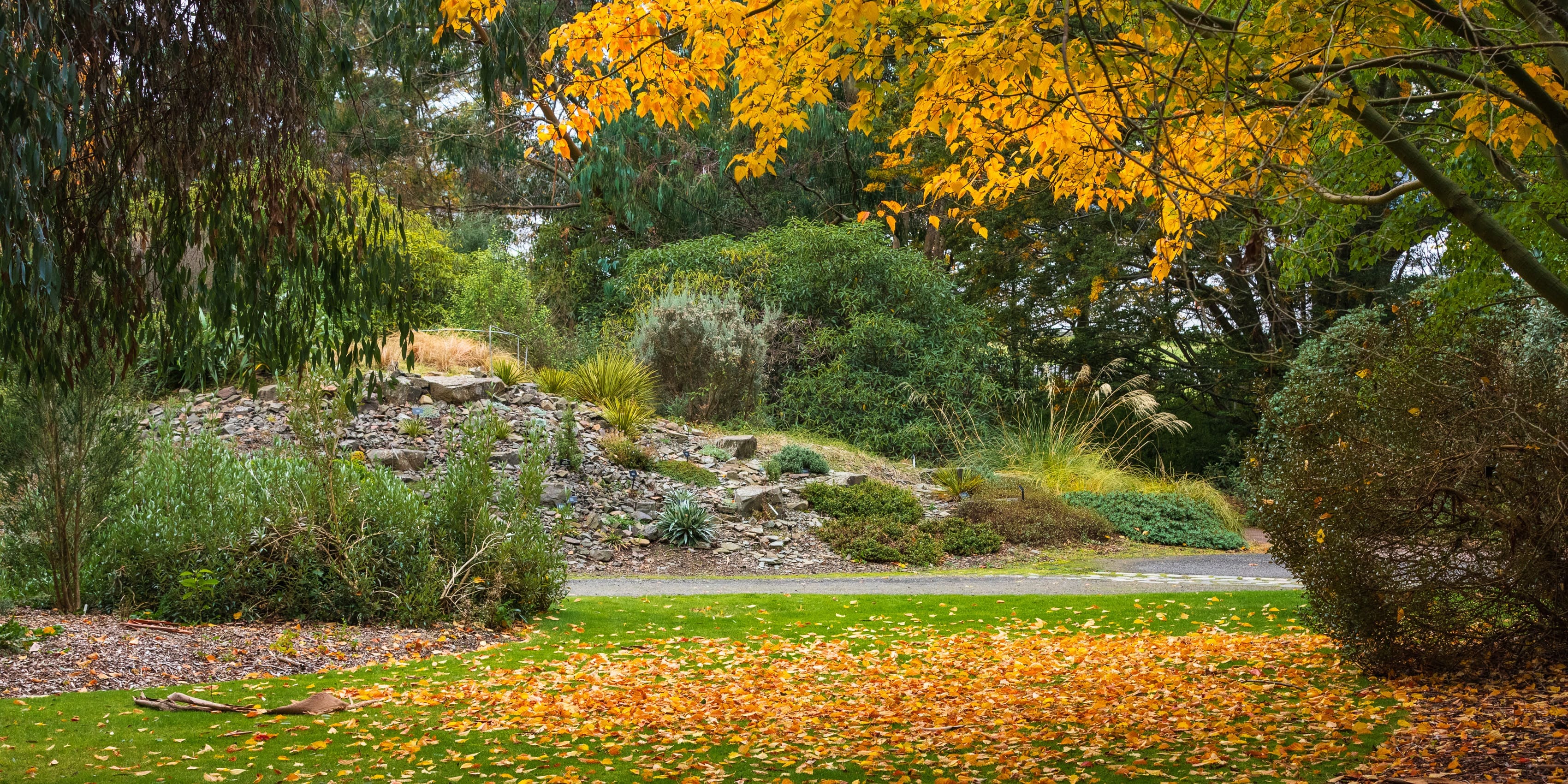 Dundee Botanical Gardens, Dundee, Scotland