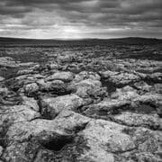 Limestone pavement near Malham, Yorkshire Dales, England. EM004