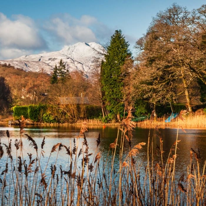 Ben Lomond from Loch Ard, The Trossachs, Scotland. TR007