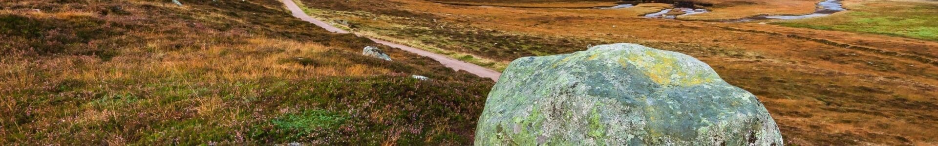 Dawn in Glen Muick, Cairngorms National Park, Scotland. HC027