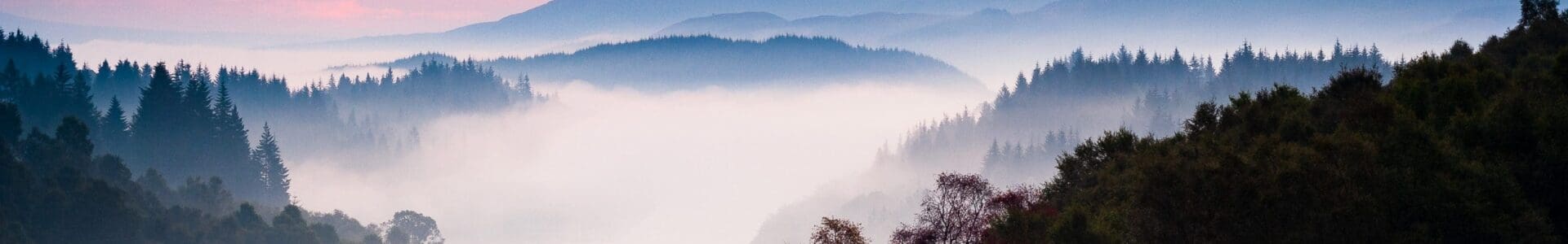 Misty dawn over Loch Drunkie, The Trossachs, Scotland. TR006