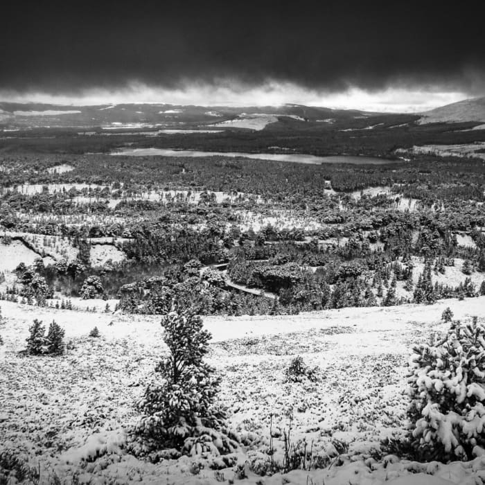 Snowy landscape near Loch Garten, Cairngorms National Park, Scotland SM056