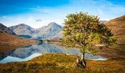 Loch Arklet, The Trossachs, Scotland. TR002