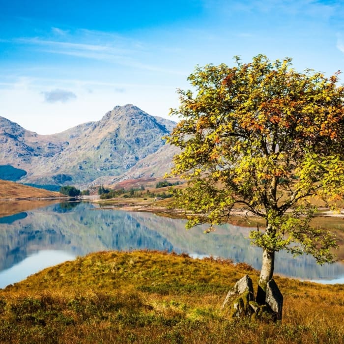 Loch Arklet, The Trossachs, Scotland. TR002