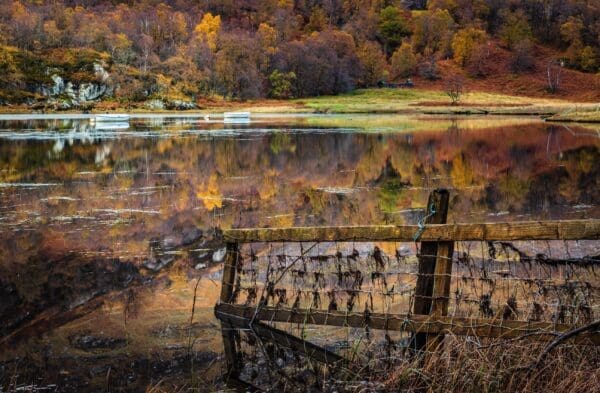 Reflection in Loch Iubhair, Stirlingshire, Scotland. SH001