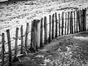 Dune fence on Broughty Ferry beach, Dundee, Scotland. DM009