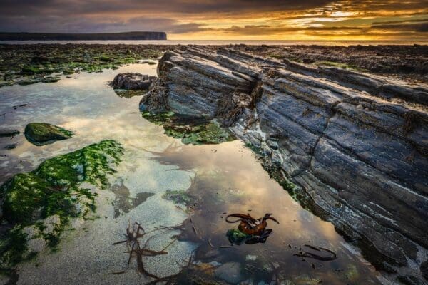 The Point of Buckquoy, near Birsay, Mainland, Orkney Islands. OR014