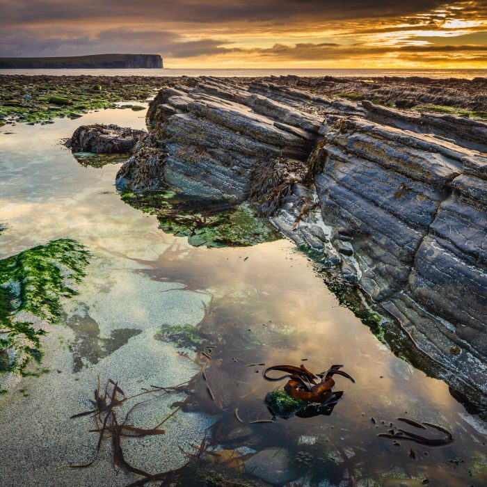 The Point of Buckquoy, near Birsay, Mainland, Orkney Islands. OR014