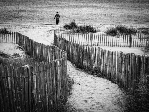 Dune fencing on the beach at Broughty Ferry, Dundee, Scotland SM059