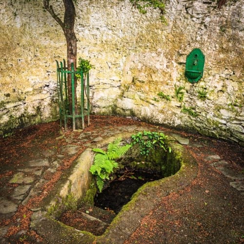 St Bernard&#039;s Well by the River Blackwater near Fermoy, County Cork, Ireland. BW027