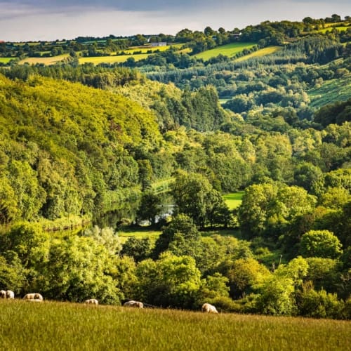 Valley of the River Barrow from near Graiguenamanagh, County Kilkenny, Ireland. BR008