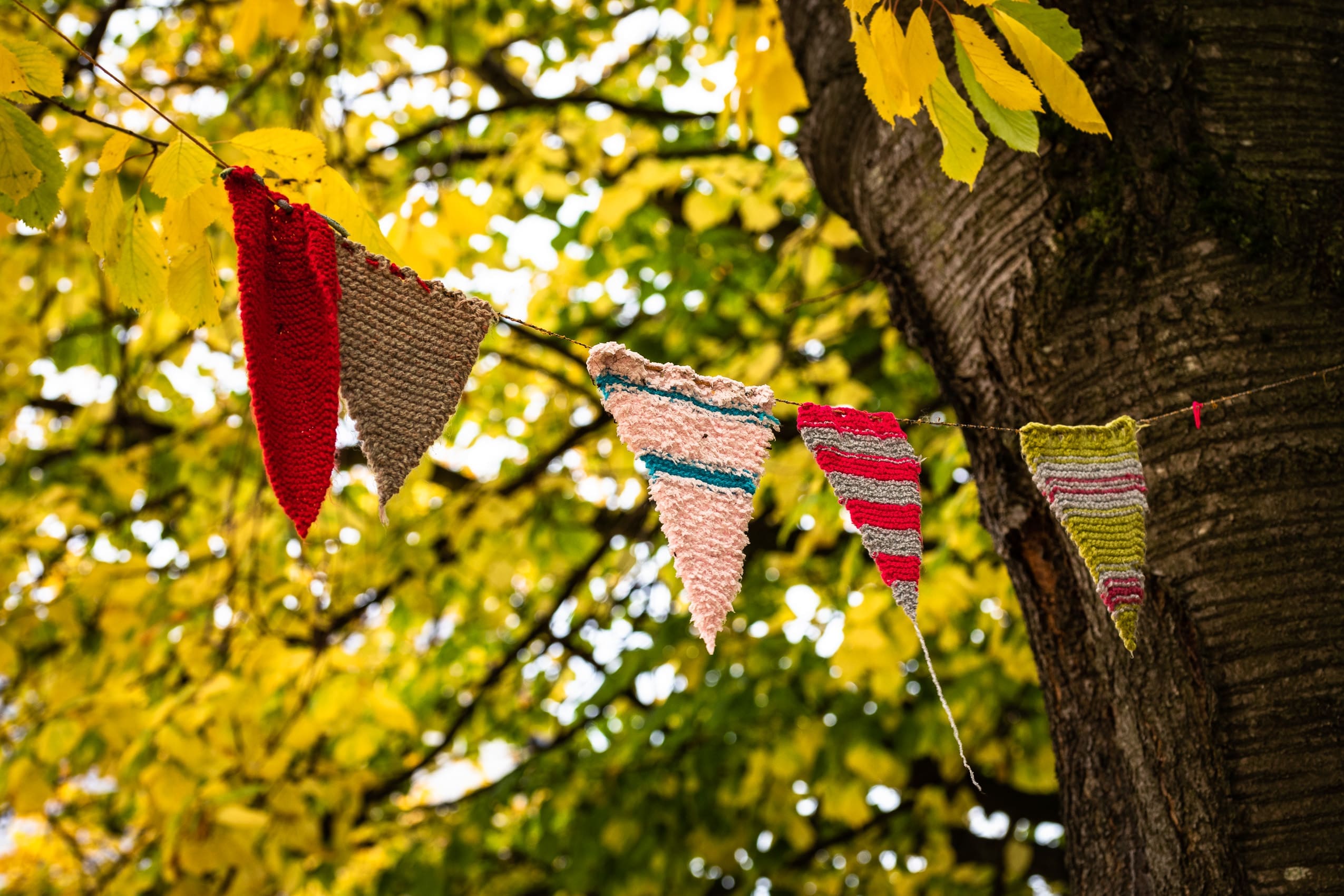 'Guerilla knitting' near St Salvador's Church, Dundee, Scotland