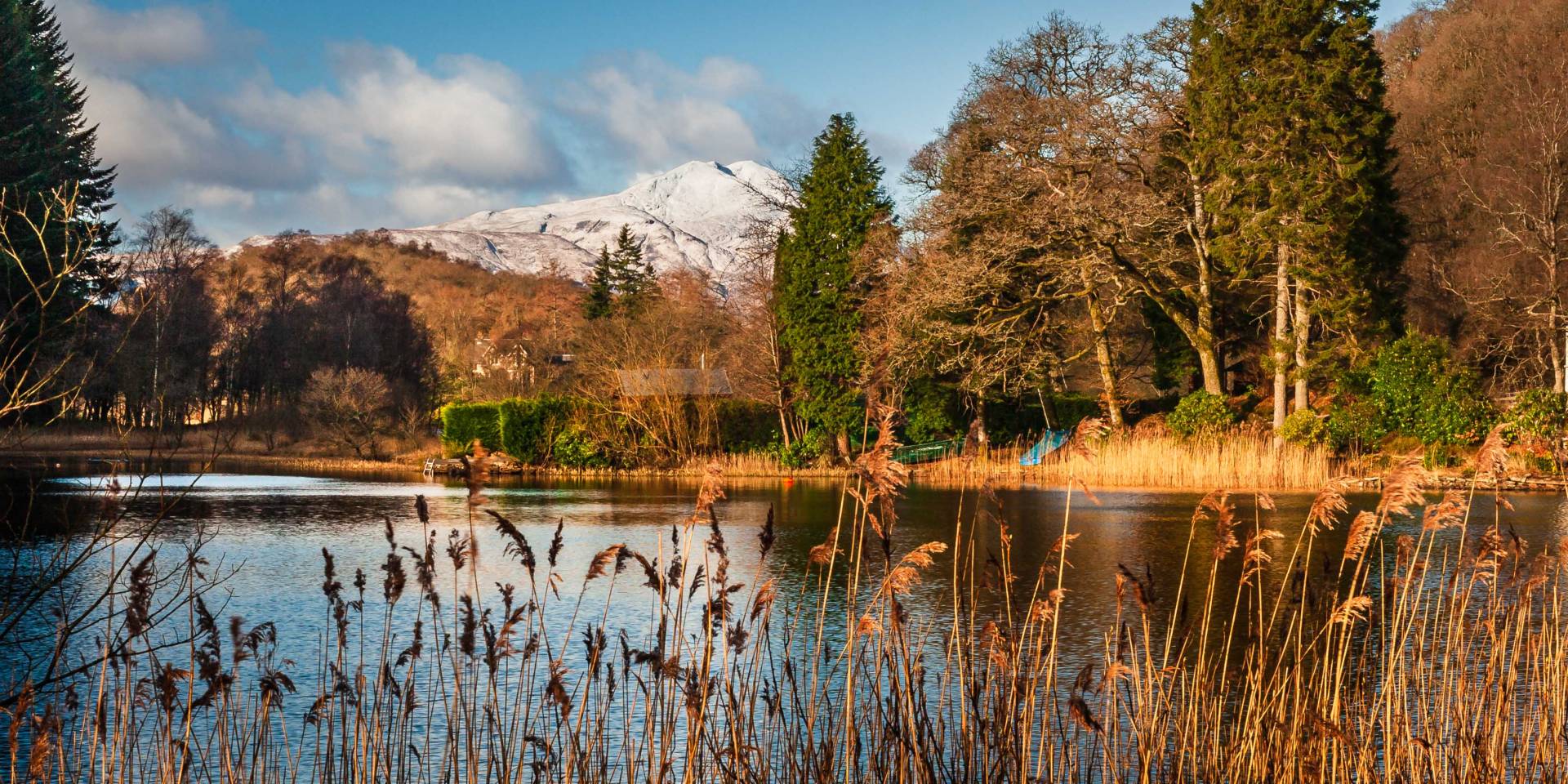 Ben Lomond from Loch Ard, The Trossachs, Scotland.