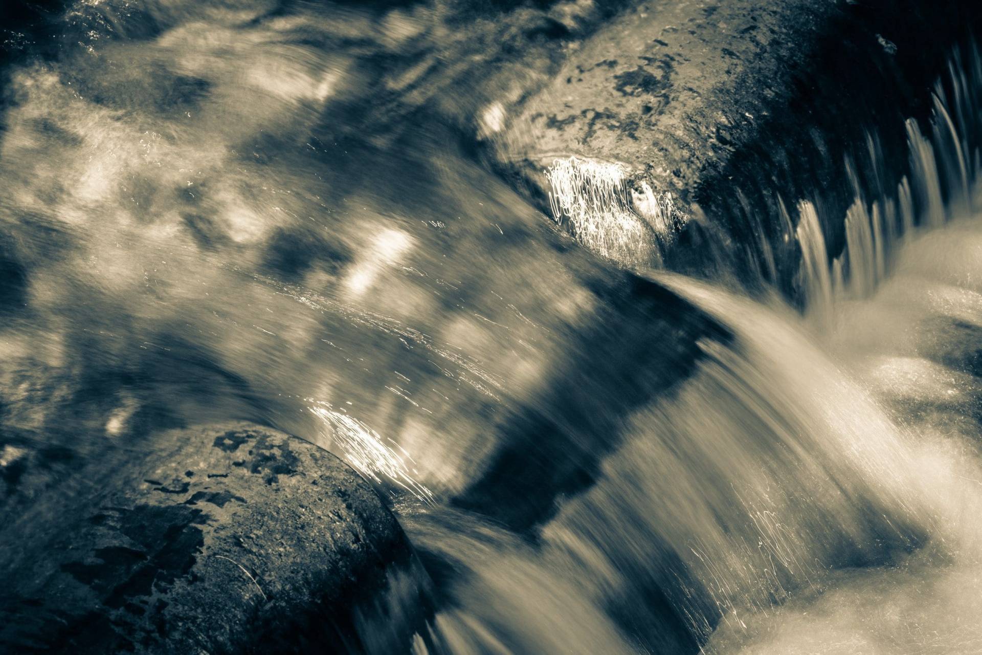 Water detail, North Carolina, USA.